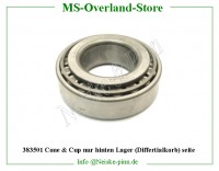 Cone & Cup nur hinten Lager (Differtialkorb) seite 