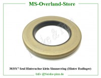 Seal Hinterachse klein Simmerring (Hinter Radlager) 