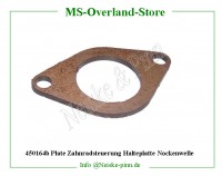 Plate Zahnradsteuerung Halteplatte Nockenwelle 