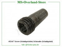 Screw (Schaltgetriebe) Schraube (Schaltgabel) 