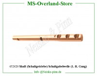 Shaft (Schaltgetriebe) Schaltgabelwelle (1.-R. Gang) 